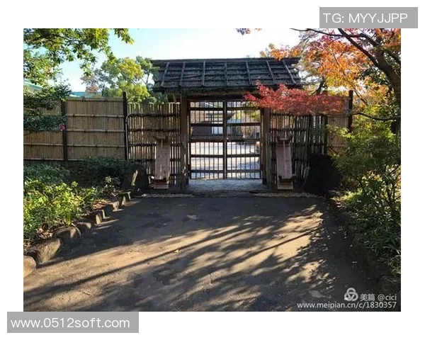 京都与金泽的精彩对决比分揭晓你知道是多少吗