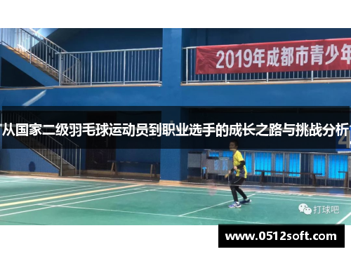 从国家二级羽毛球运动员到职业选手的成长之路与挑战分析