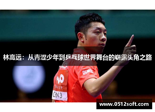 林高远：从青涩少年到乒乓球世界舞台的崭露头角之路